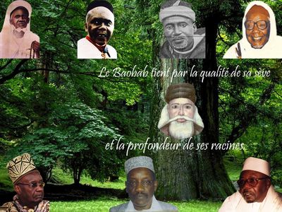 le baobab et ses racines