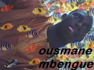 paousmane  le foue 